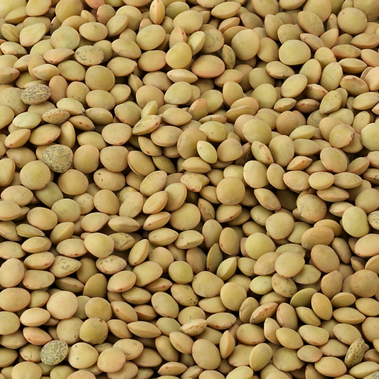 Organic Small Green Lentils