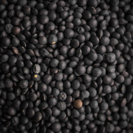 Organic Black Beluga Lentils