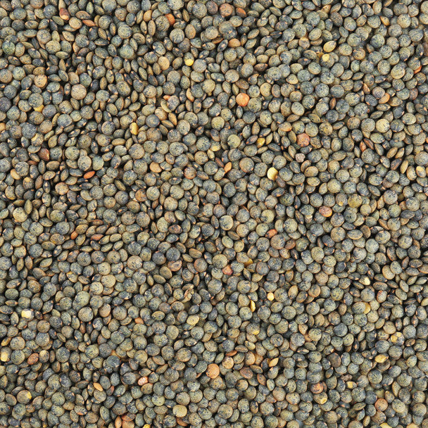 Organic French Green Lentils